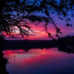 late afternoon, tree, lake