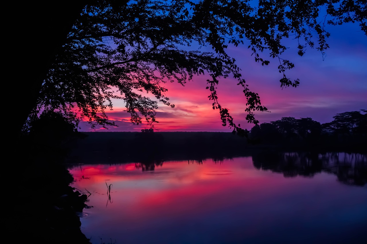 late afternoon, tree, lake