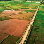 Stunning aerial view of paddy fields in Payakumbuh, Indonesia, showcasing lush greenery and rural landscapes.