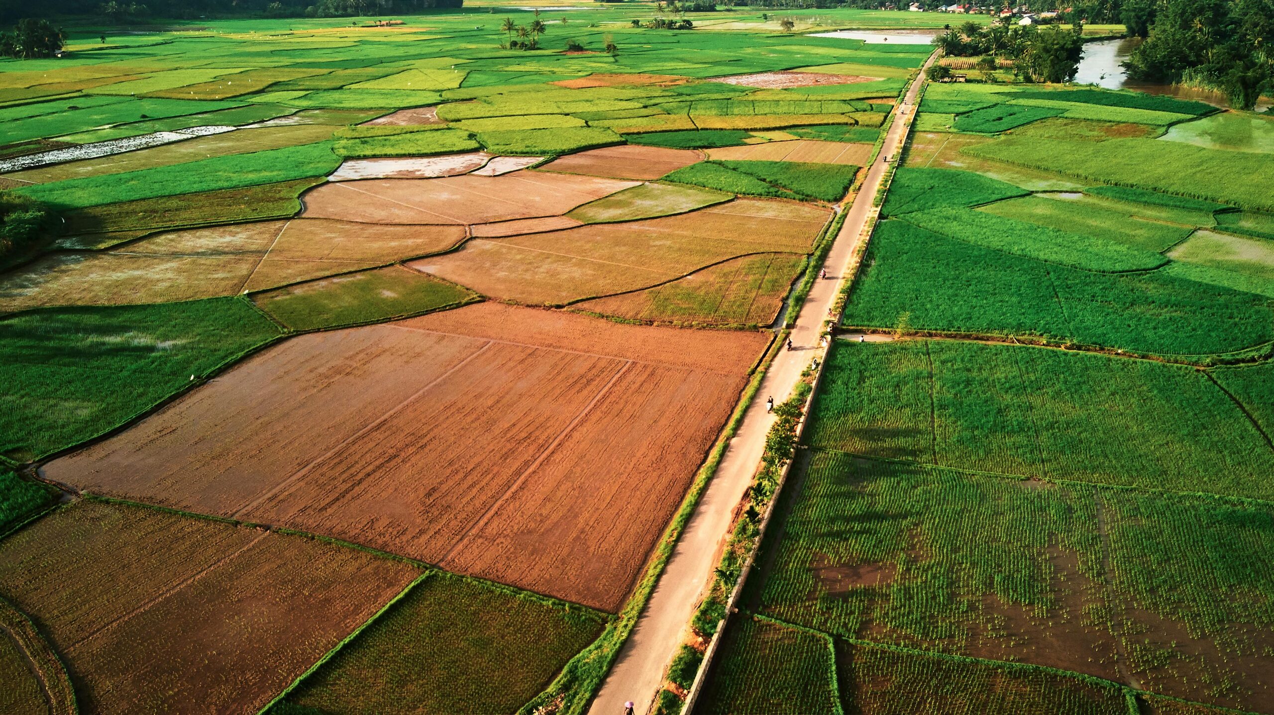 Stunning aerial view of paddy fields in Payakumbuh, Indonesia, showcasing lush greenery and rural landscapes.