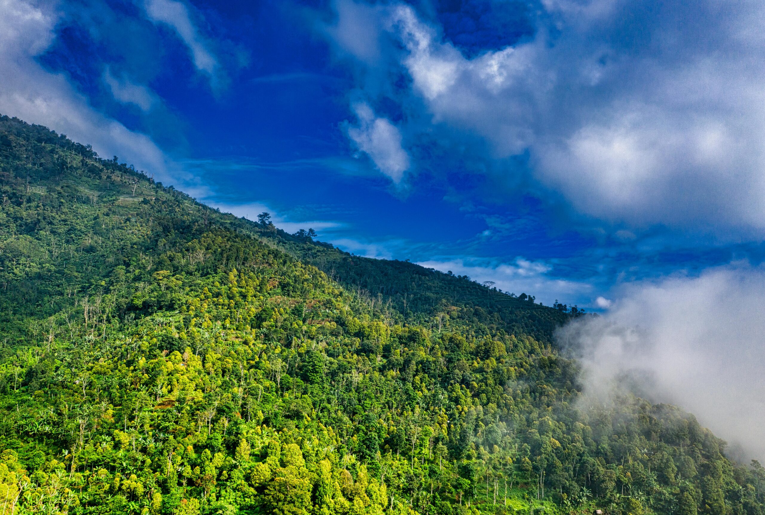 Scenic landscape of a lush green hillside under a vibrant blue sky with fluffy clouds in Banten, Indonesia.