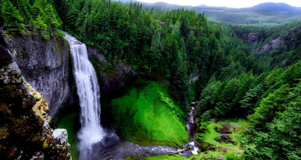 A breathtaking waterfall cascading into lush greenery in a serene forest setting.